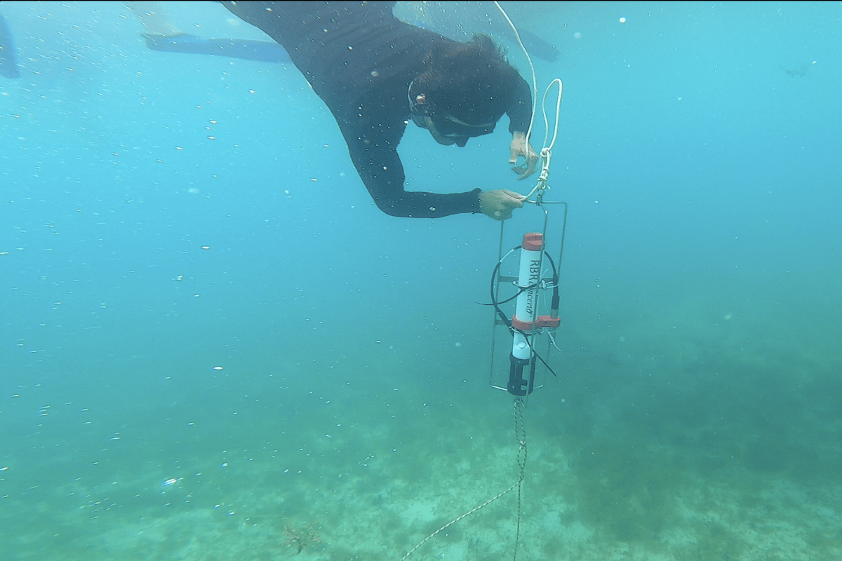 Constraining-the-dynamics-of-Columbias-Gulf-of-Uraba-estuary-600x400-1